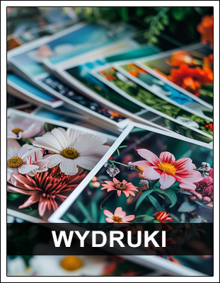 Wydruki